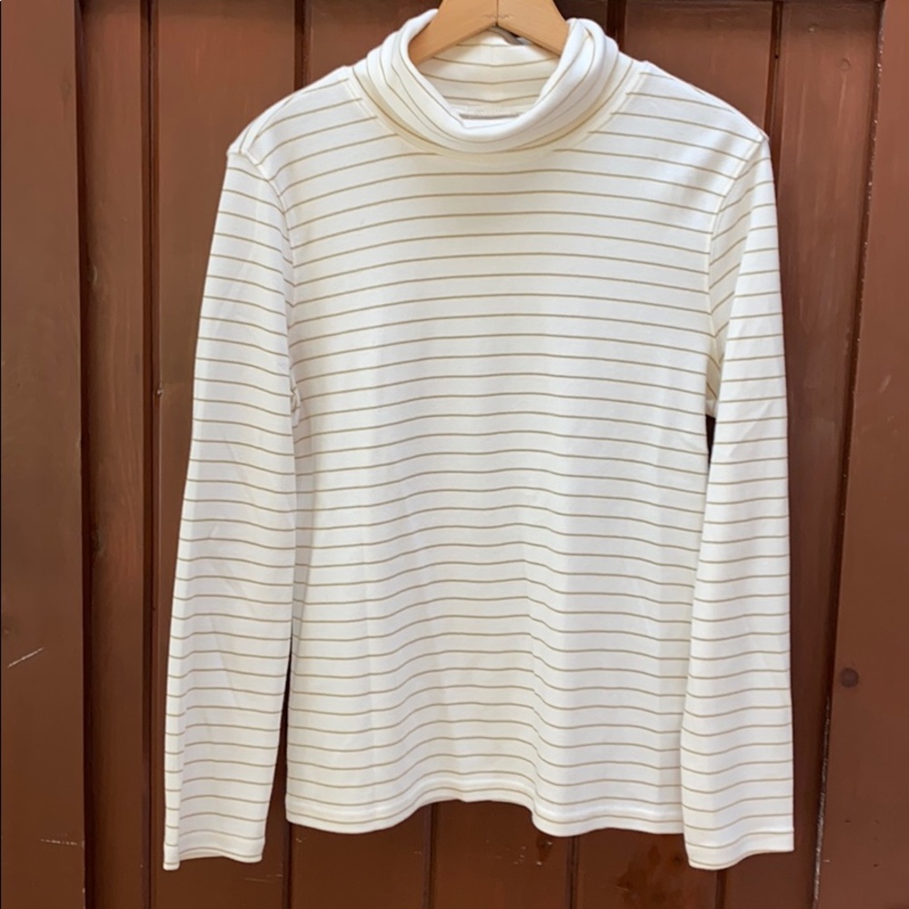 Gold striped turtle neck